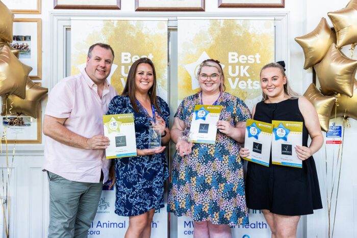 A Practical Guide to Getting More Reviews Ahead of the 2026 BestUKVet Awards